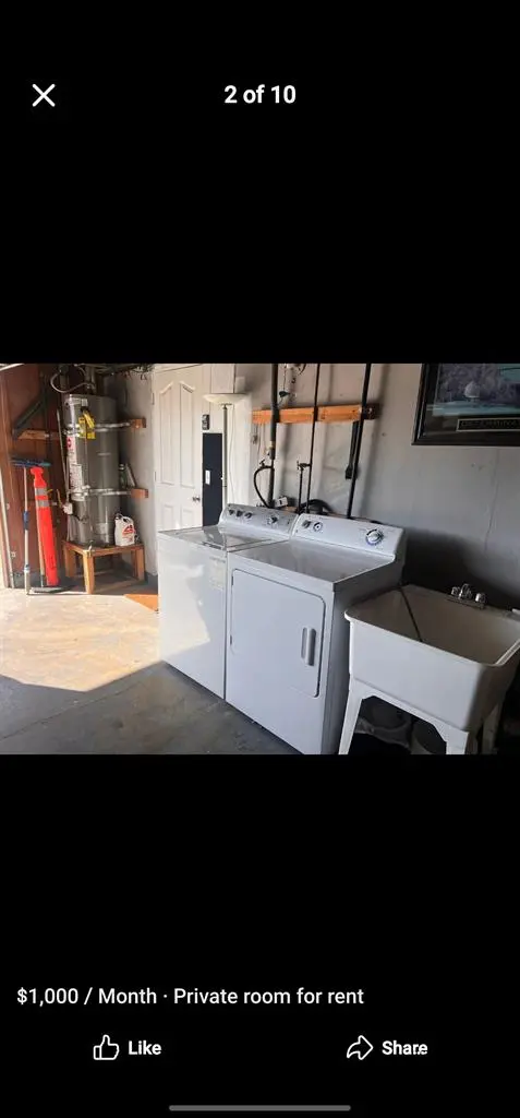 ✨ Looking for a Roommate