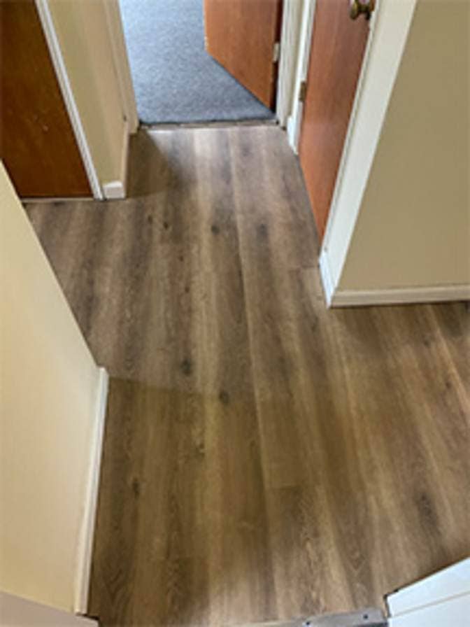 Looking for a roommate.