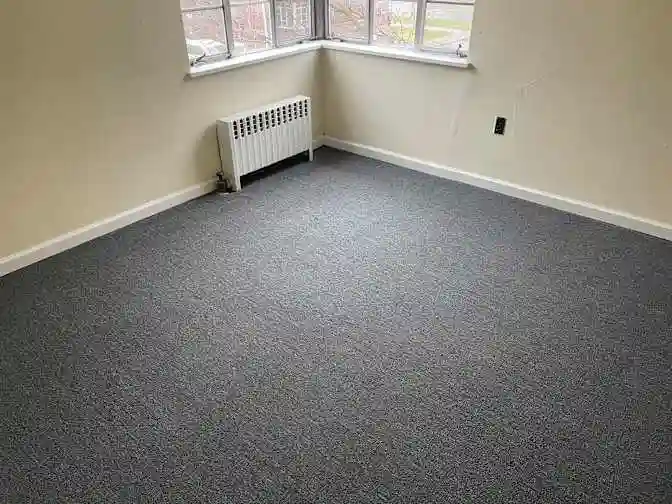 Looking for a roommate.