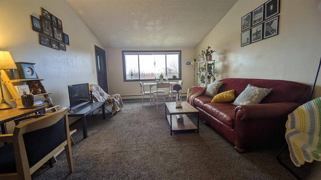 Looking for a roommate