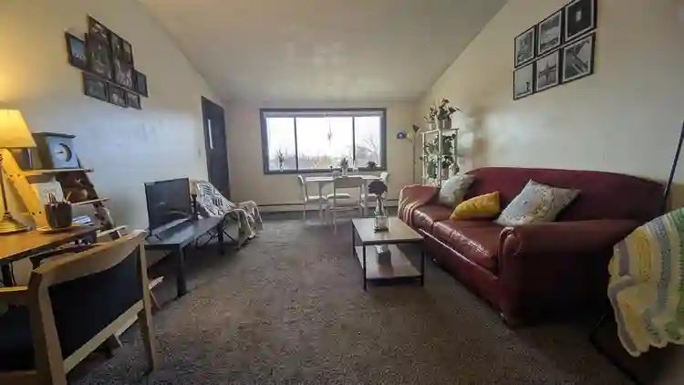 Looking for a roommate