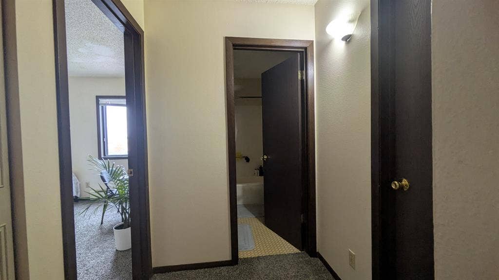 Looking for a roommate