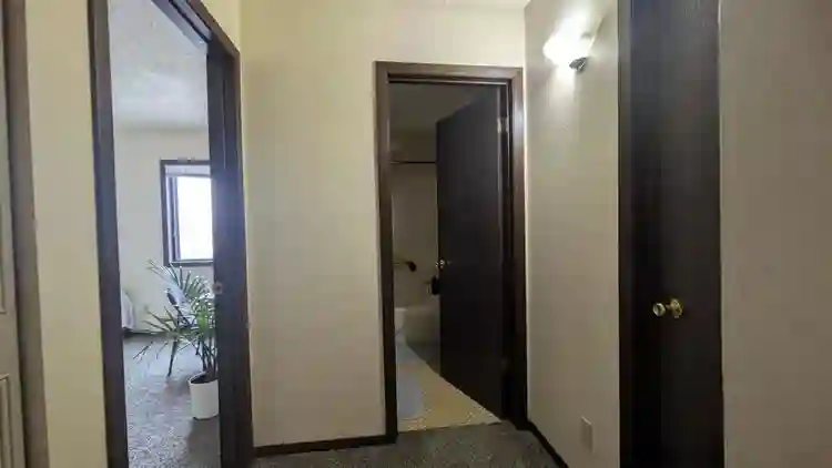 Looking for a roommate