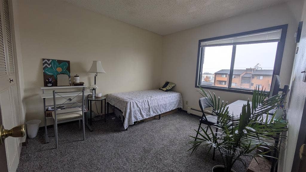 Looking for a roommate