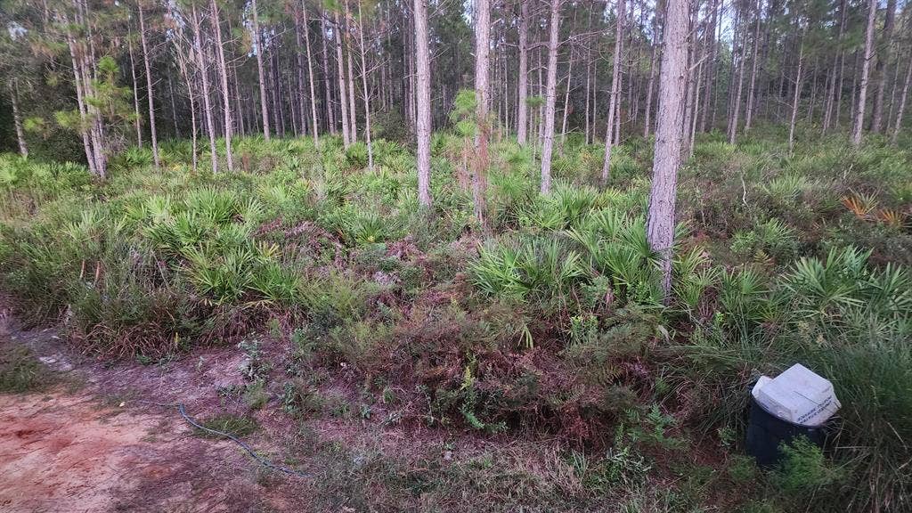 Looking for a roomate