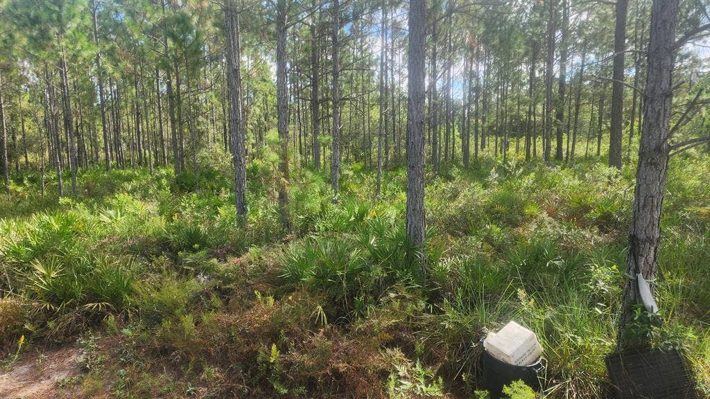 Looking for a roomate