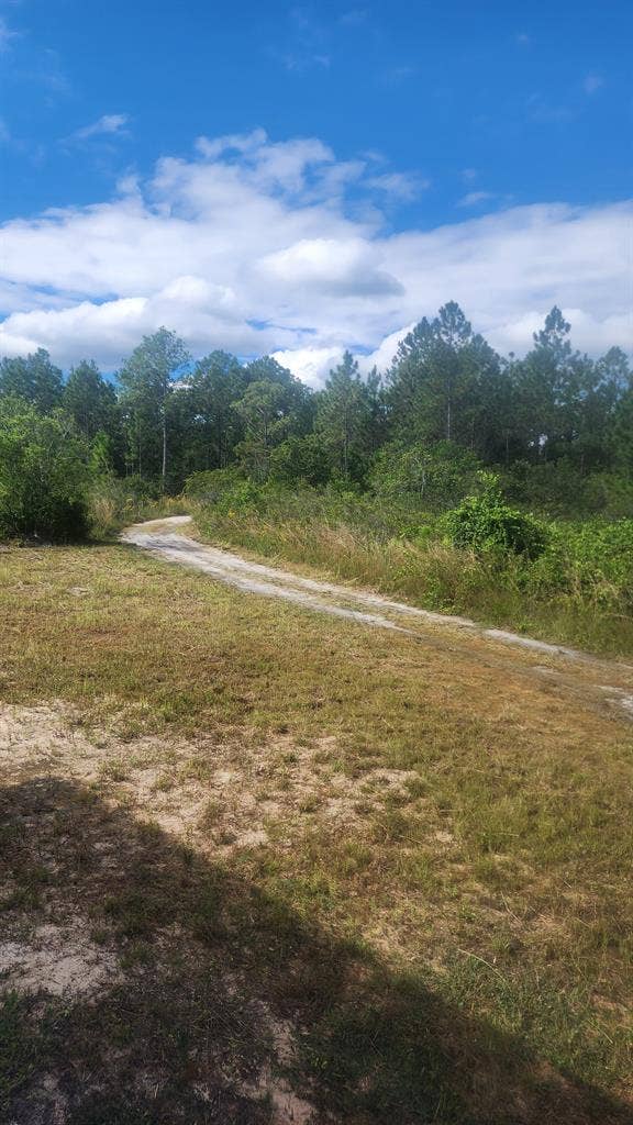 Looking for a roomate