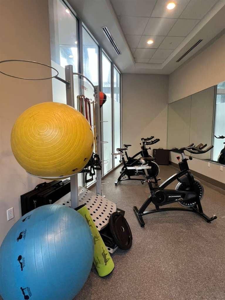 Looking for a roommate