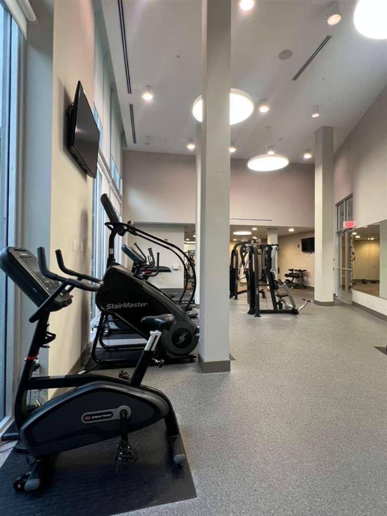 Looking for a roommate