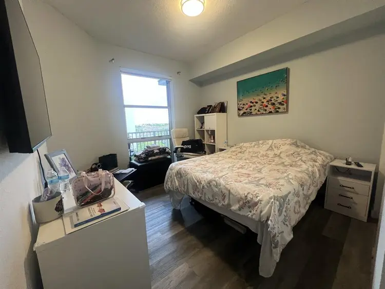 Looking for a roommate