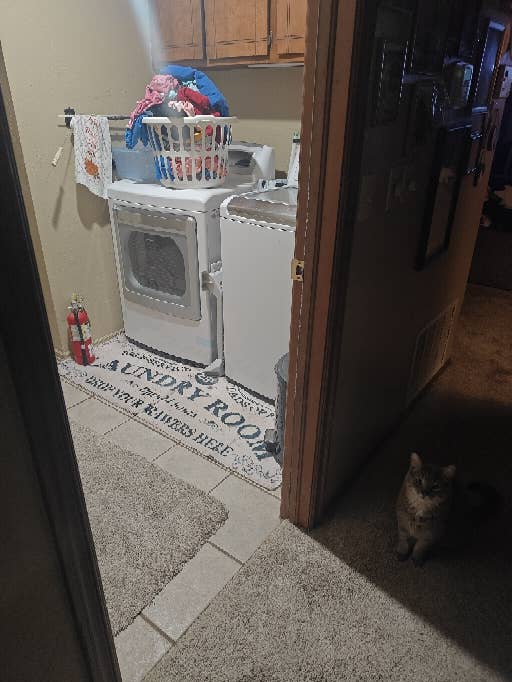 Good room, comfy home.