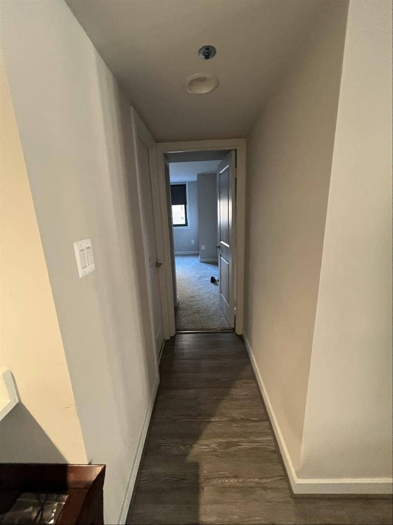 Courtland Towers-Roommate Desired