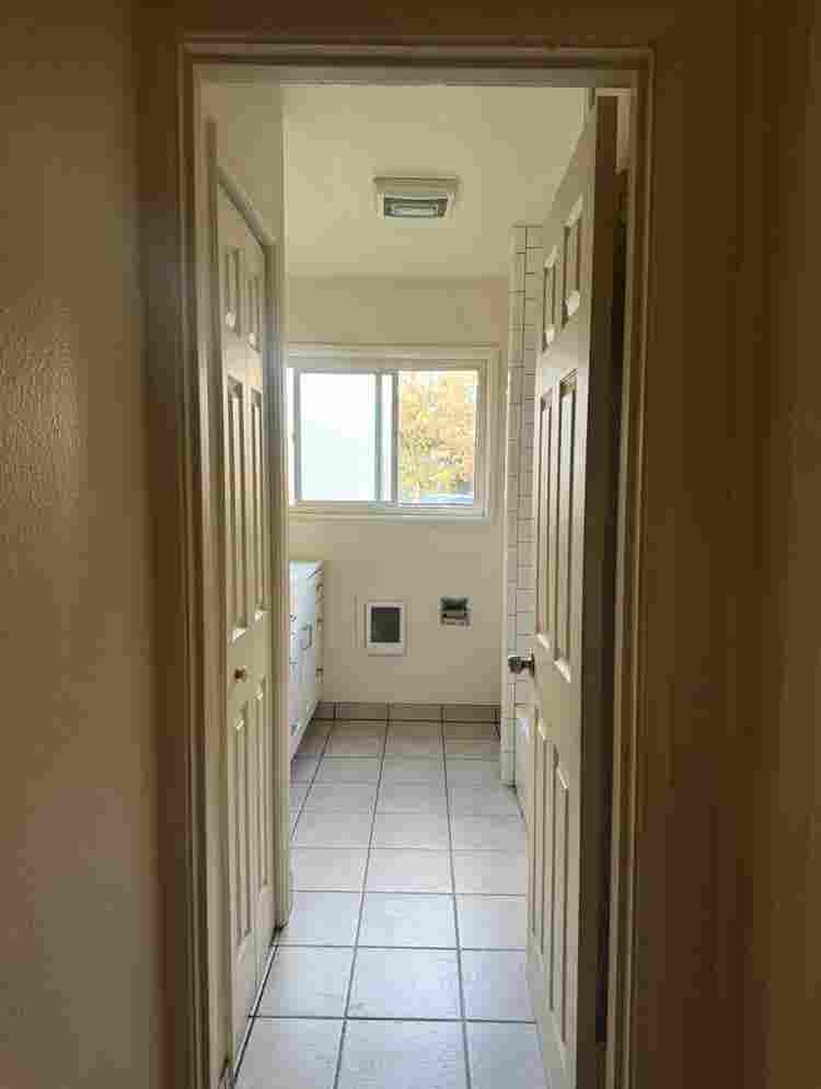 F with cats looking for roommate