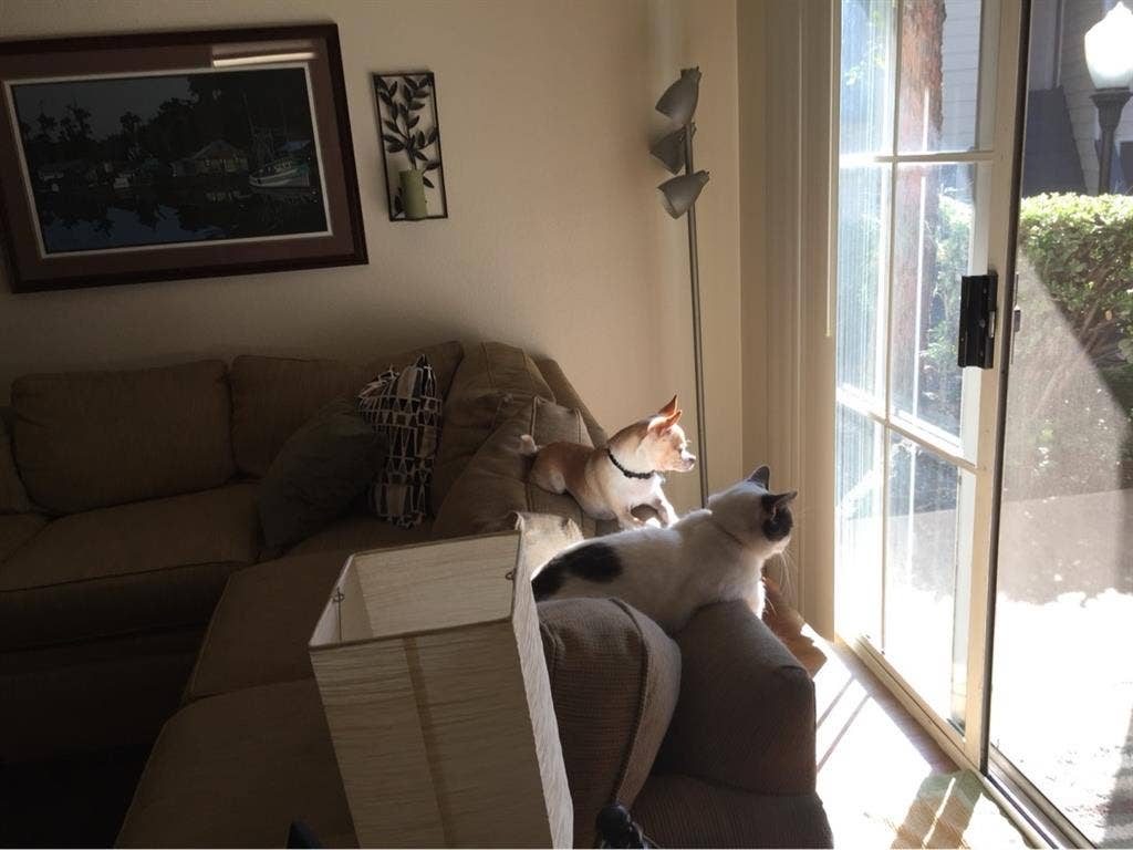 AVAIL. JAN. /
Rent Due By 5th