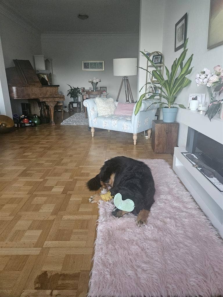 Very large bright apartment