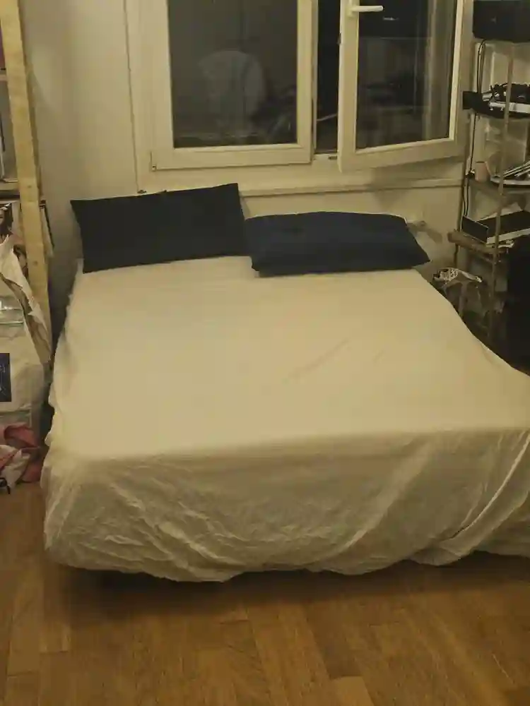 Very large bright apartment