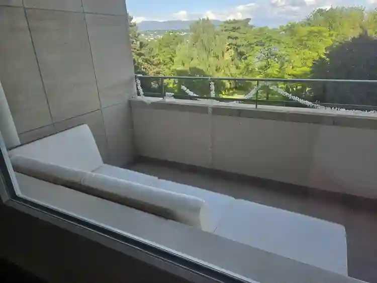 Very large bright apartment