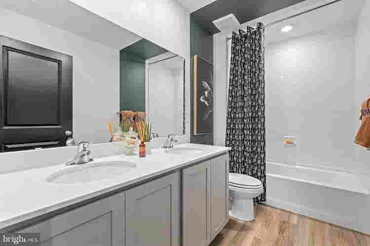 Singly Family Home Rental