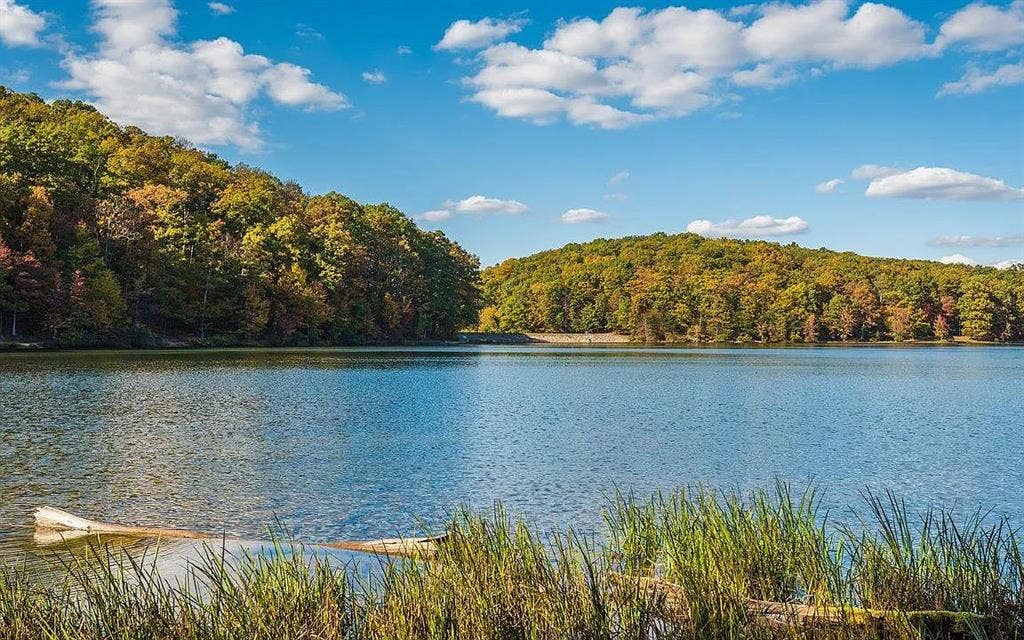 Singly Family Home Rental