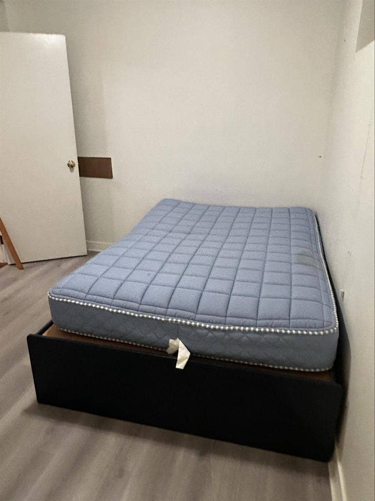 Cozy Apartment in Kerrisdalee