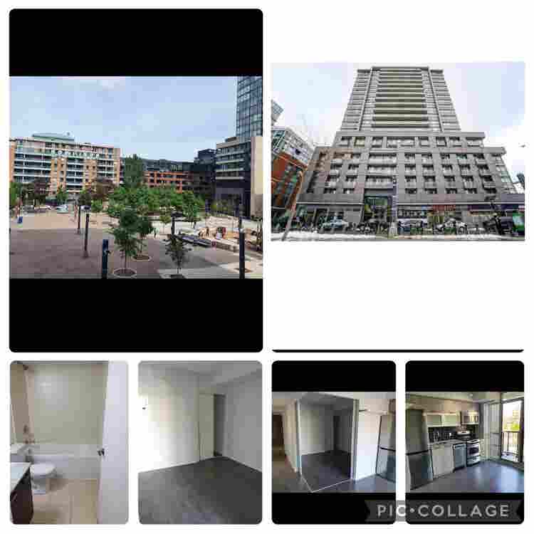 Queen/ Dufferin - One bedroom suite