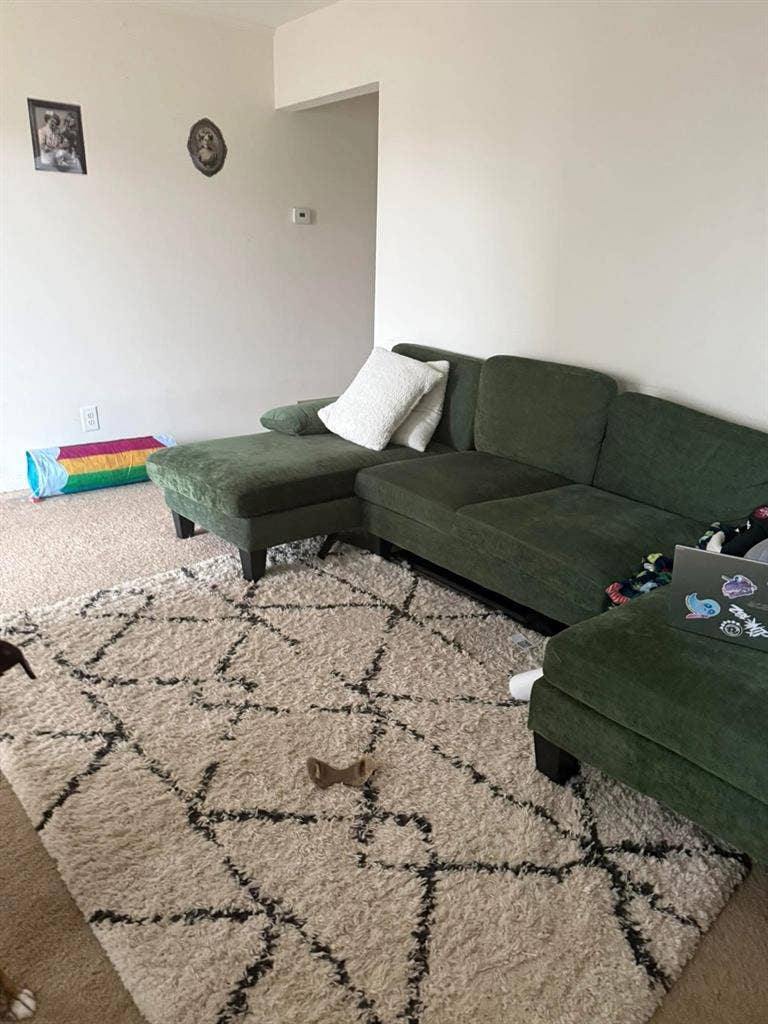 Need a roommate ASAP