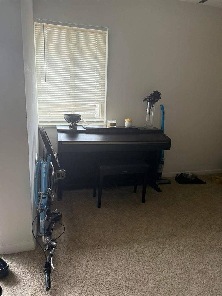 Need a roommate ASAP