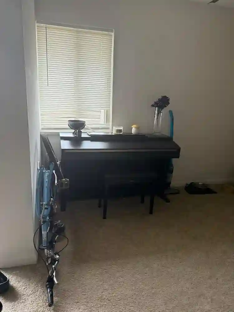 Need a roommate ASAP