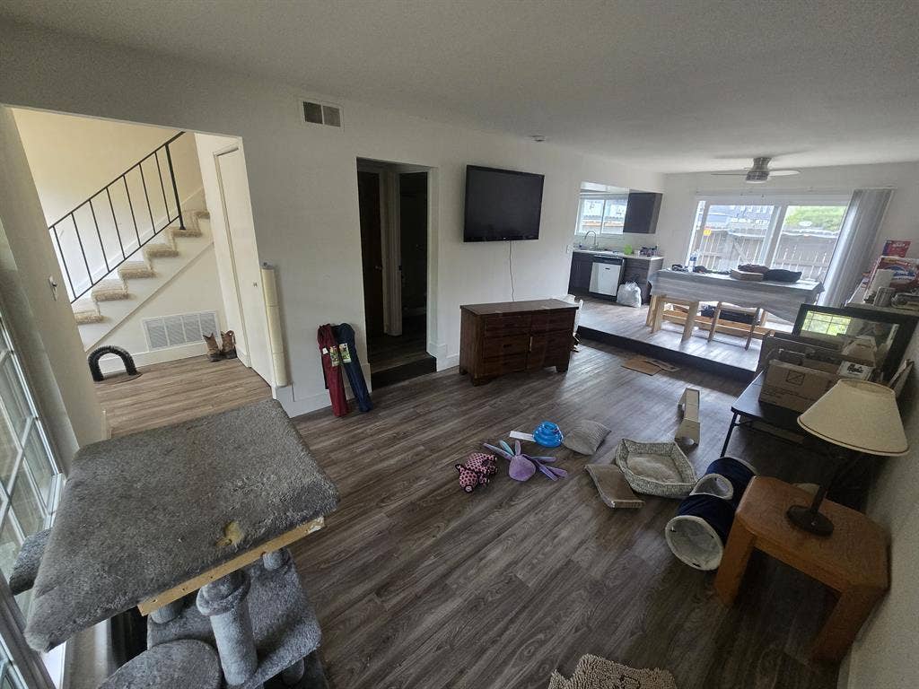 Need a Room Mate ASAP!