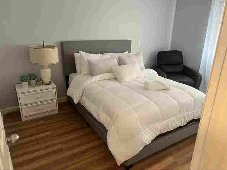 Entire Apartment or Room for rent