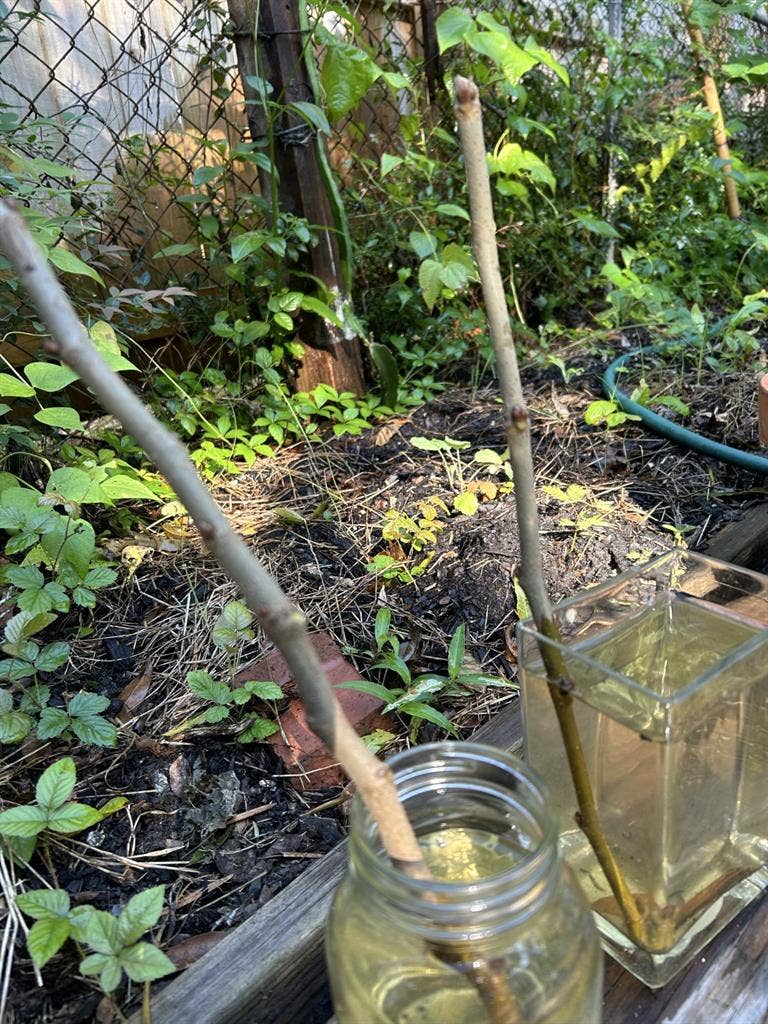 Historic Durkeeville