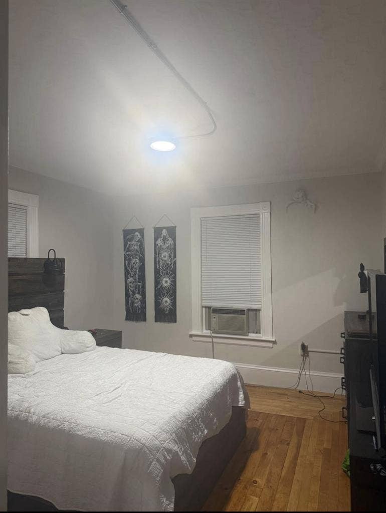 Looking for a roommate