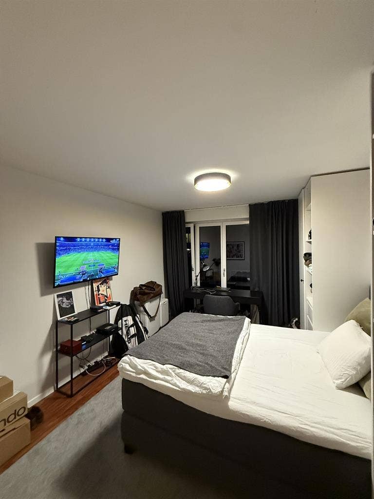 Furnished Apartment in Zurich City