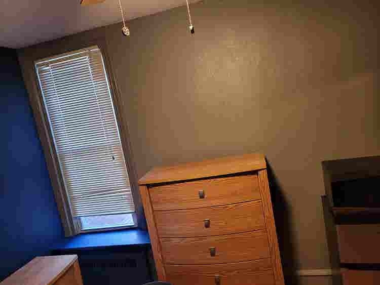 Furnished room $/week