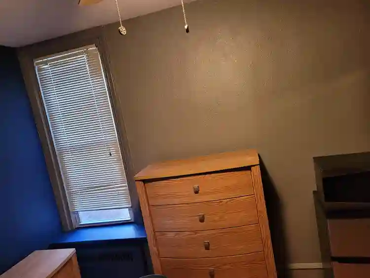 Furnished room $/week