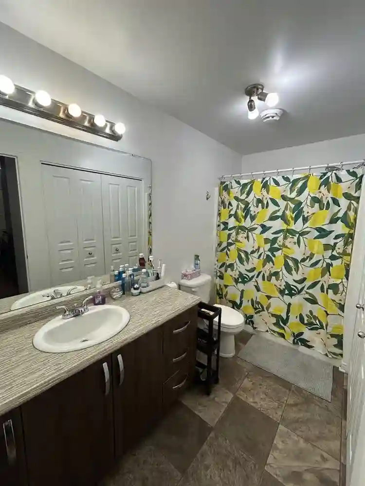 Appartement 1 chambre & salle bain