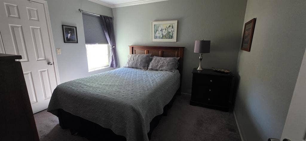 Sanctuary / no new pets