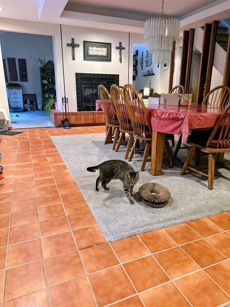 Private room for rent in a house.