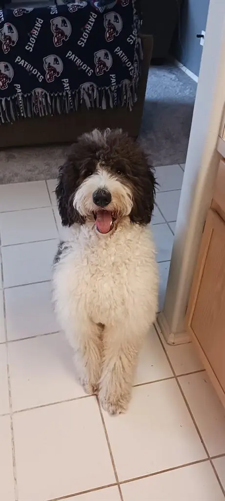 Shared house with private bath