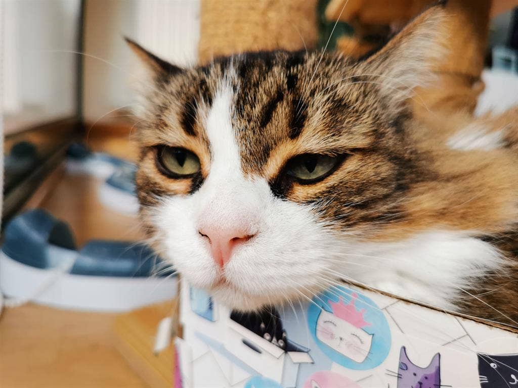 Habitación doble en precioso bajo.