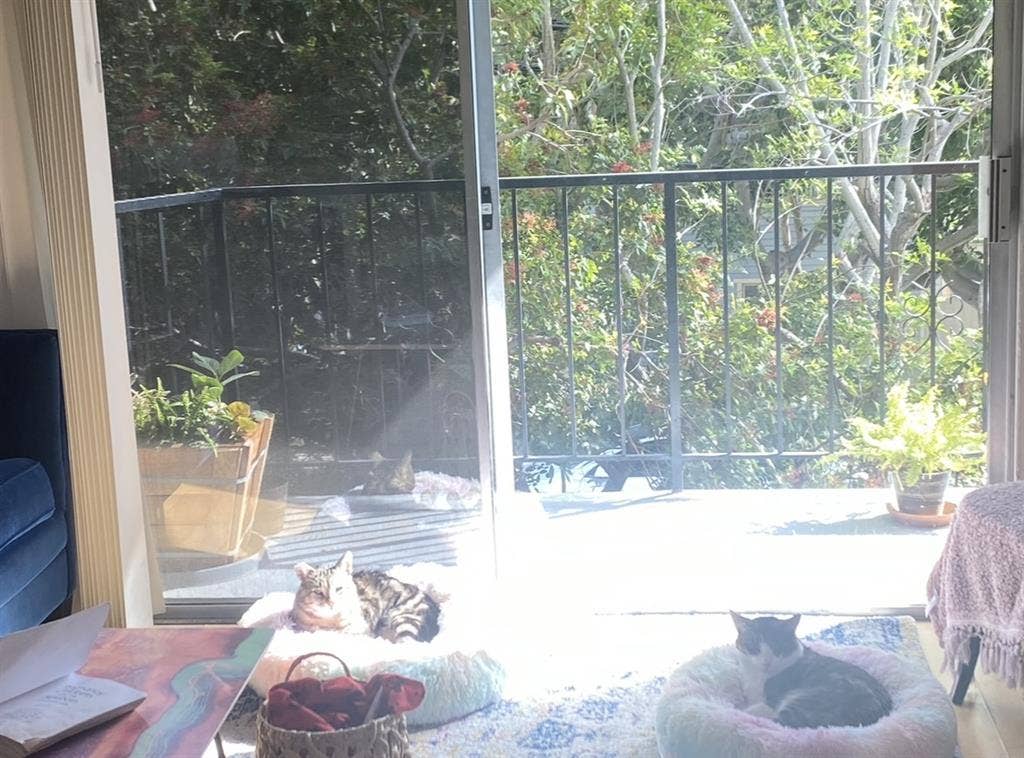 Room in big sunny Santa Monica 2BR