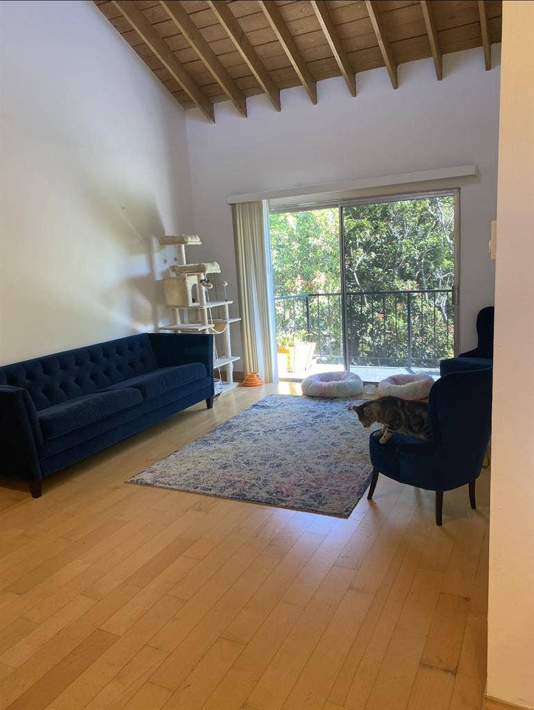 Room in big sunny Santa Monica 2BR