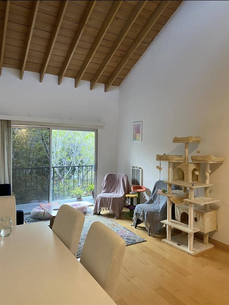 Room in big sunny Santa Monica 2BR