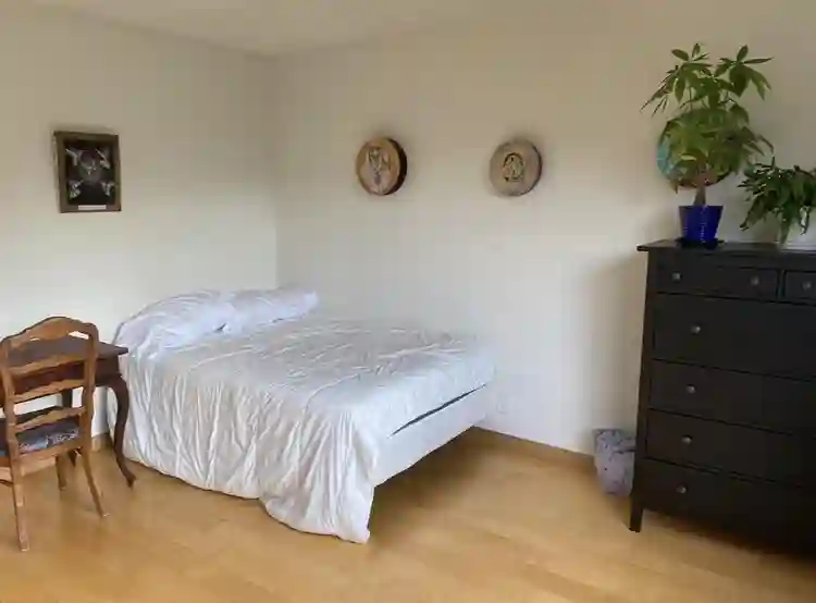 Room in big sunny Santa Monica 2BR