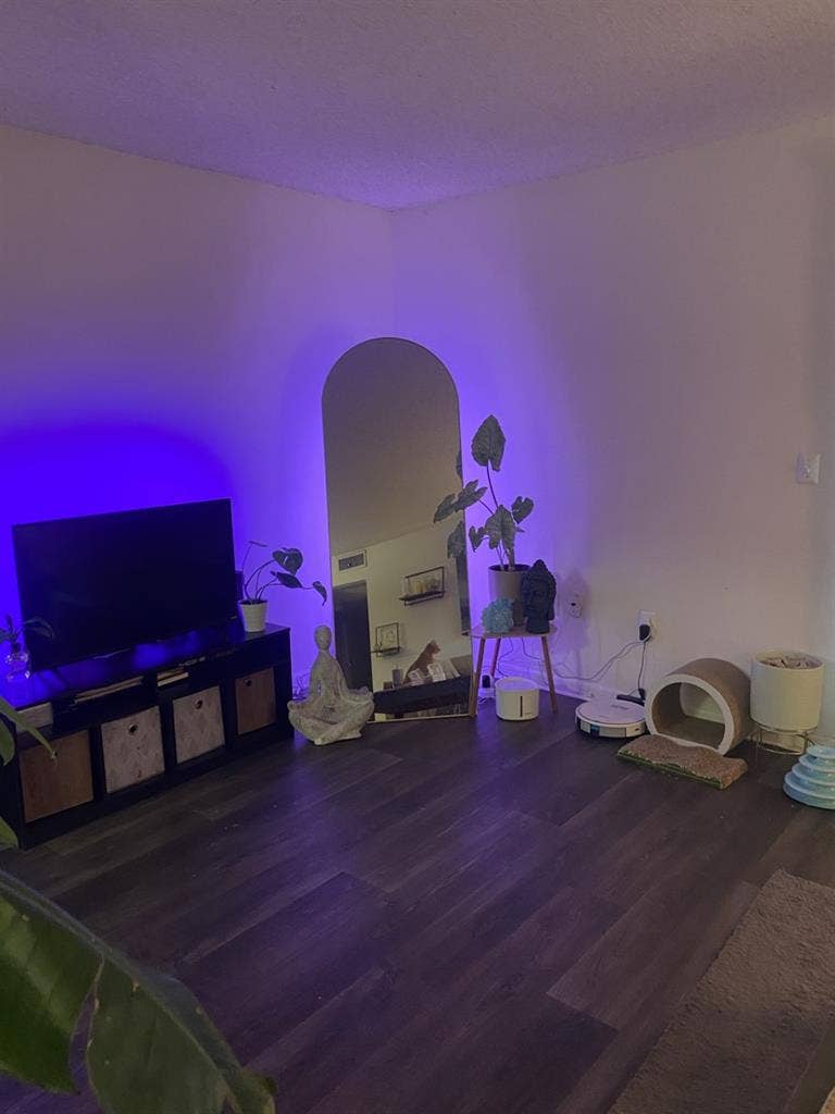 Female or gay roommate wanted!