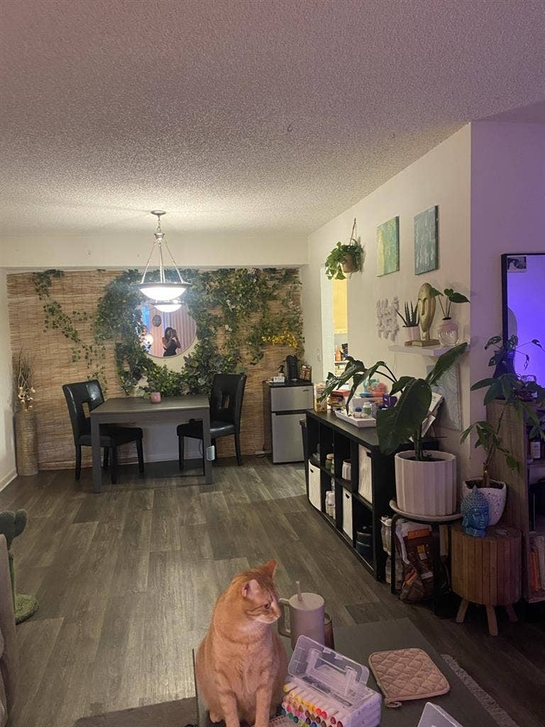 Female or gay roommate wanted!