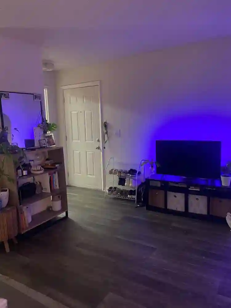 Female or gay roommate wanted!