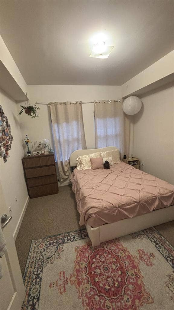 Cozy  Apartment  Close to UVA