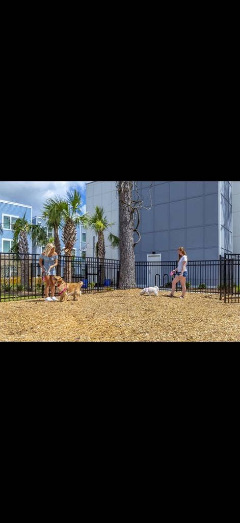 Looking to sublease!