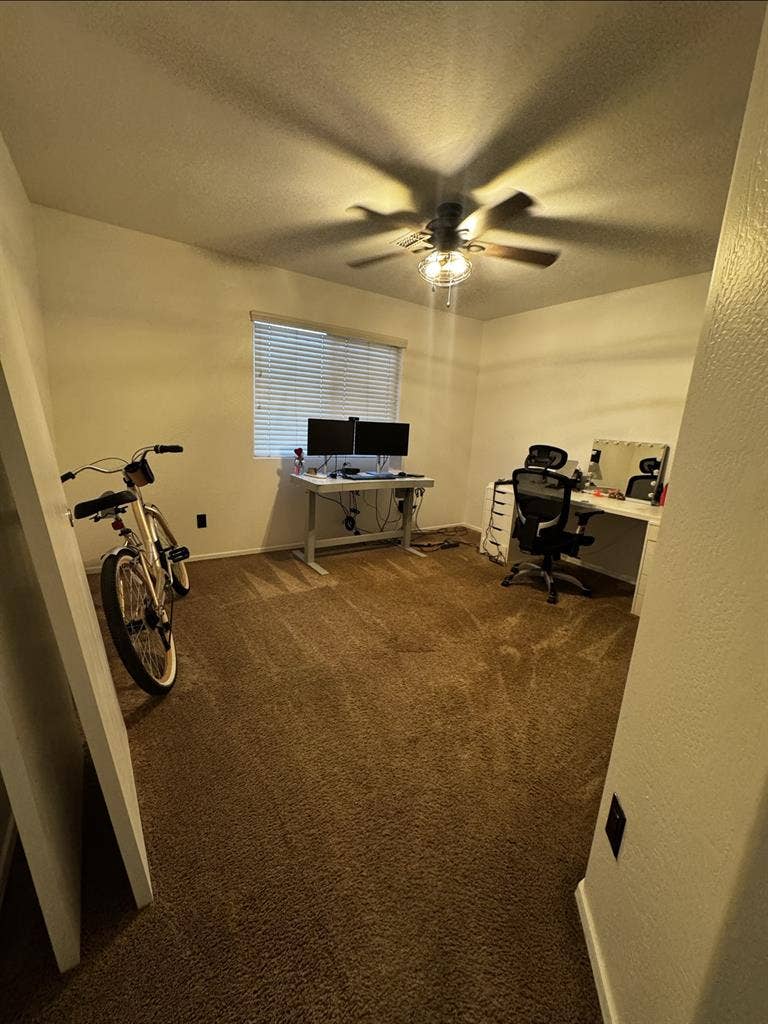 Looking for a Female Roommate